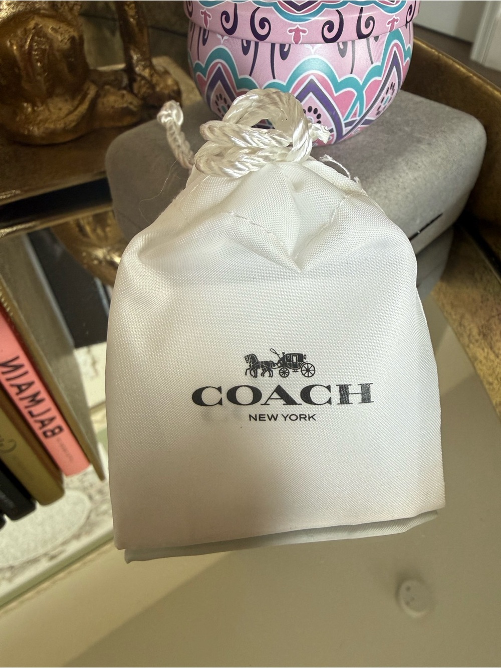 Coach Cherry mini bag charm NWT with dust bag SOLD OUT ONLINE - Picture 13 of 15